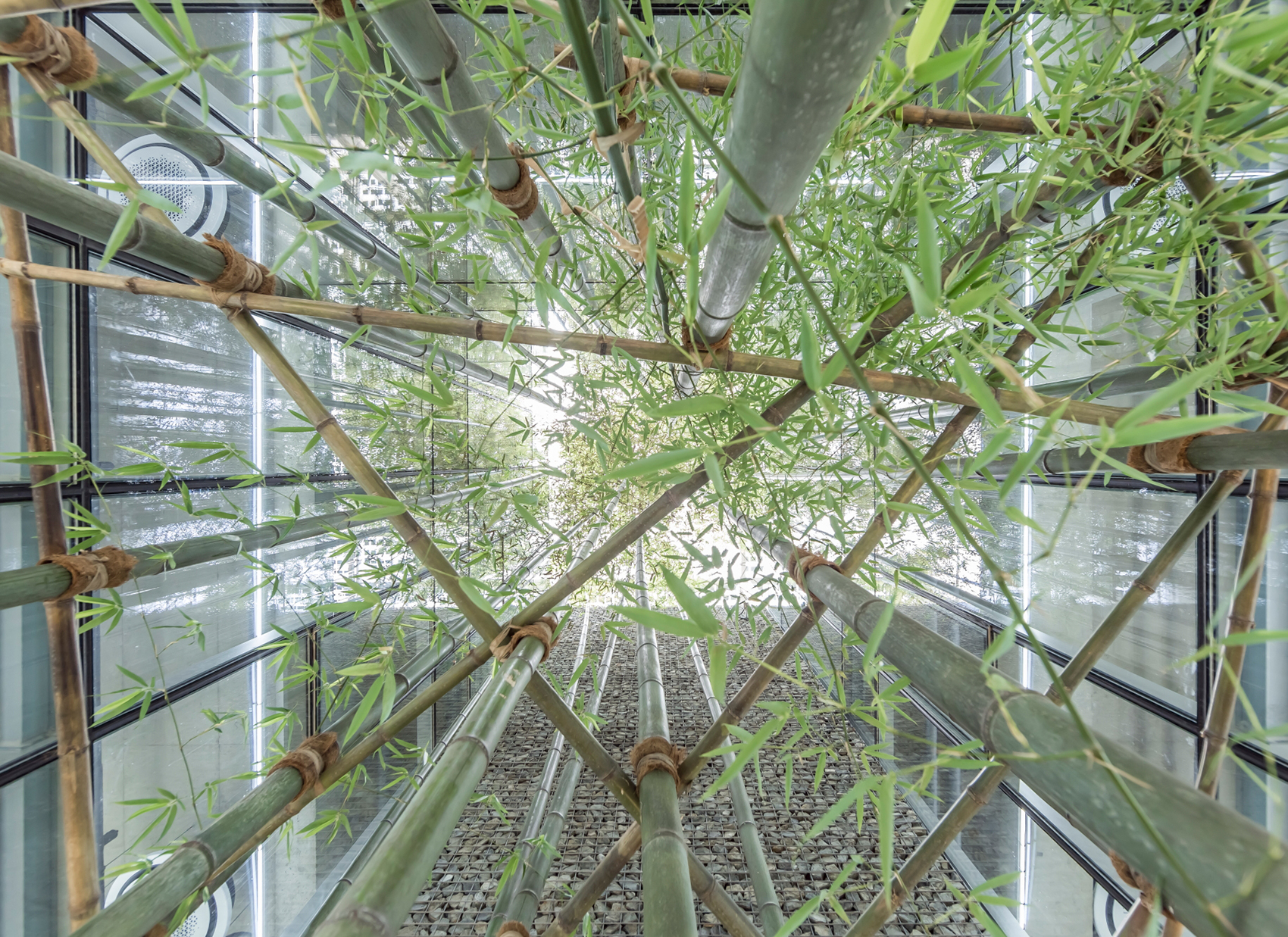 预览 9