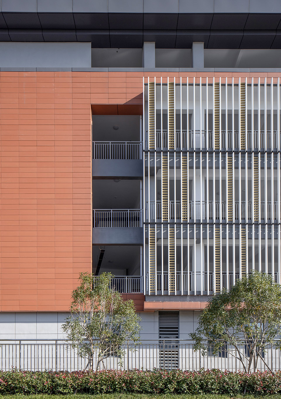 预览 6