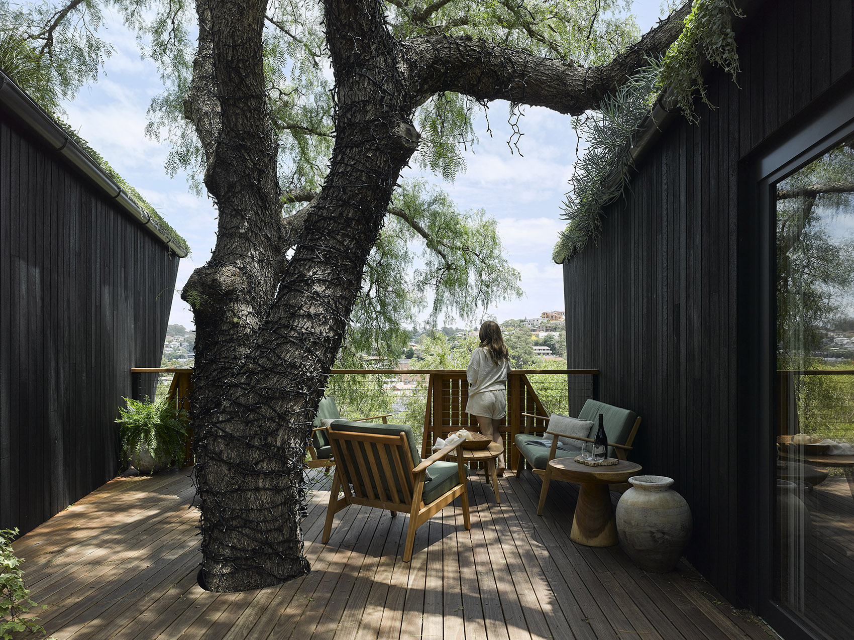 Pepper Tree被动式住宅，澳大利亚 / Alexander Symes Architect