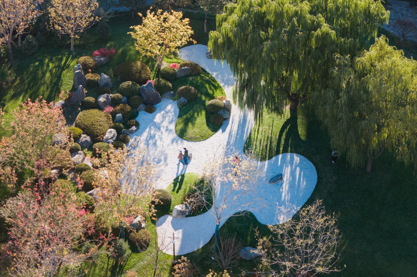 预览 8