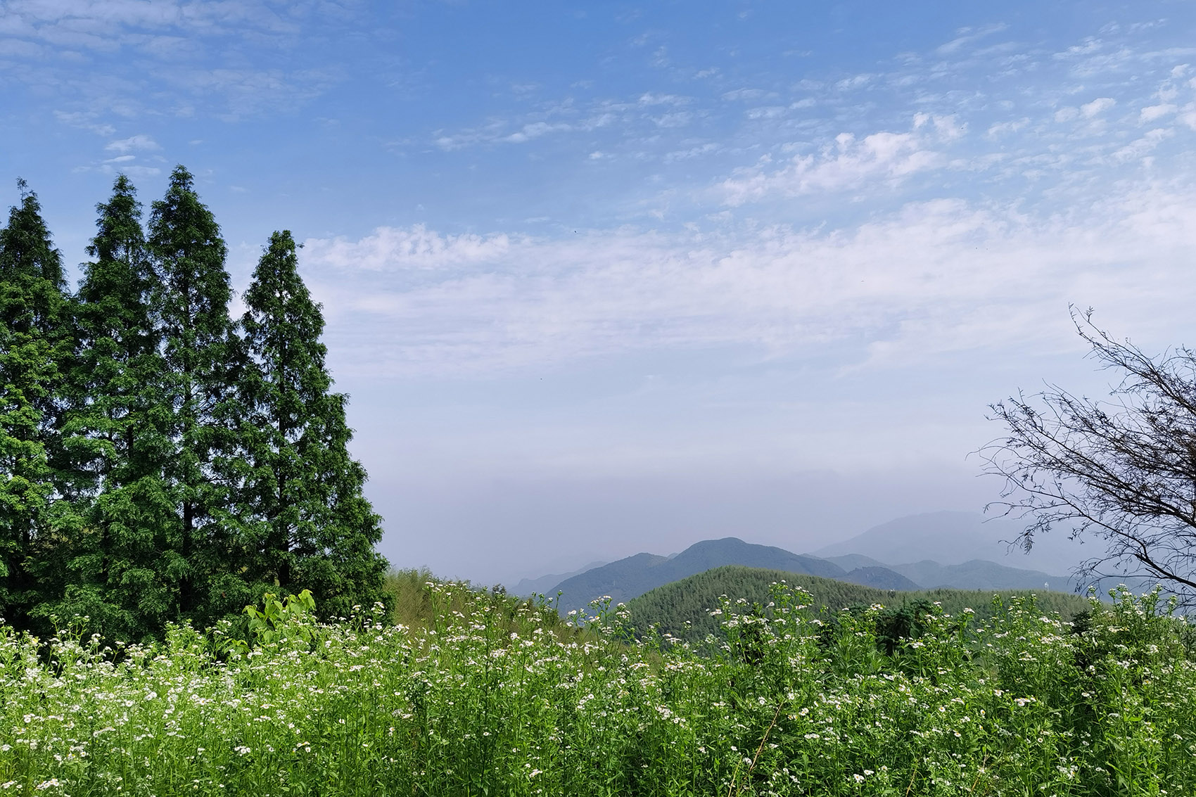 预览 6