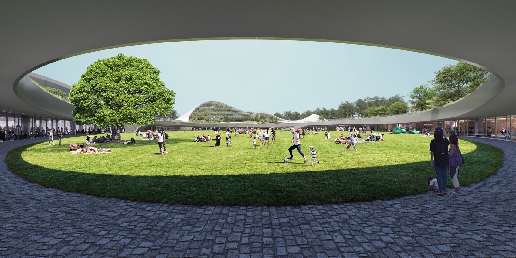 预览 8