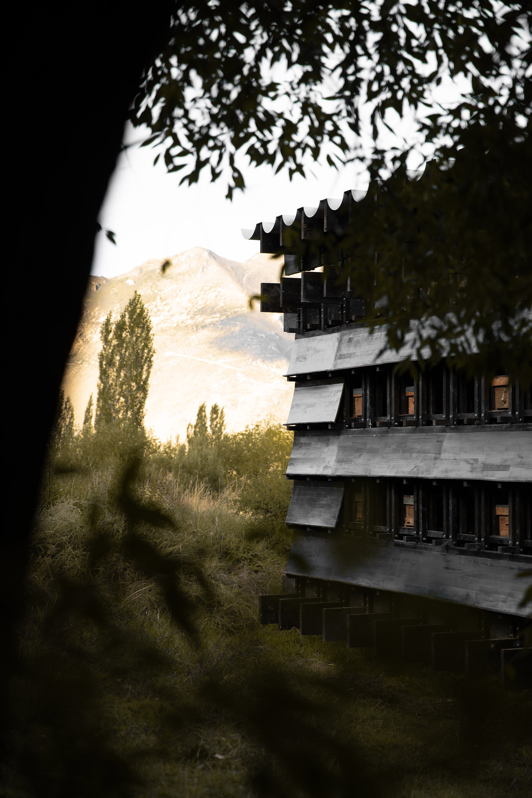 预览 8