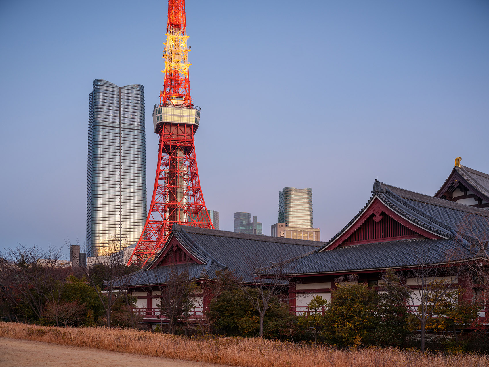 预览 8
