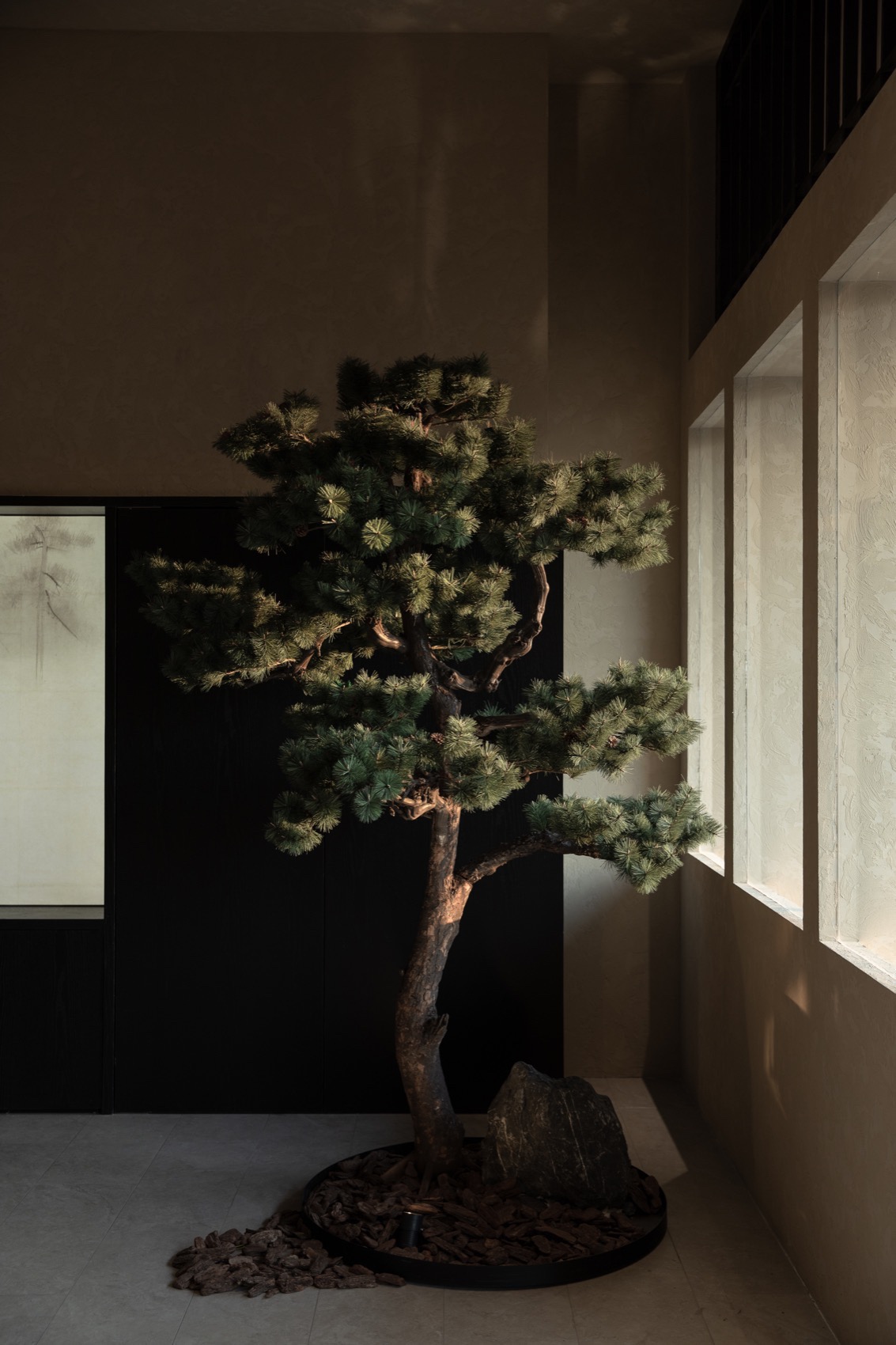 预览 7