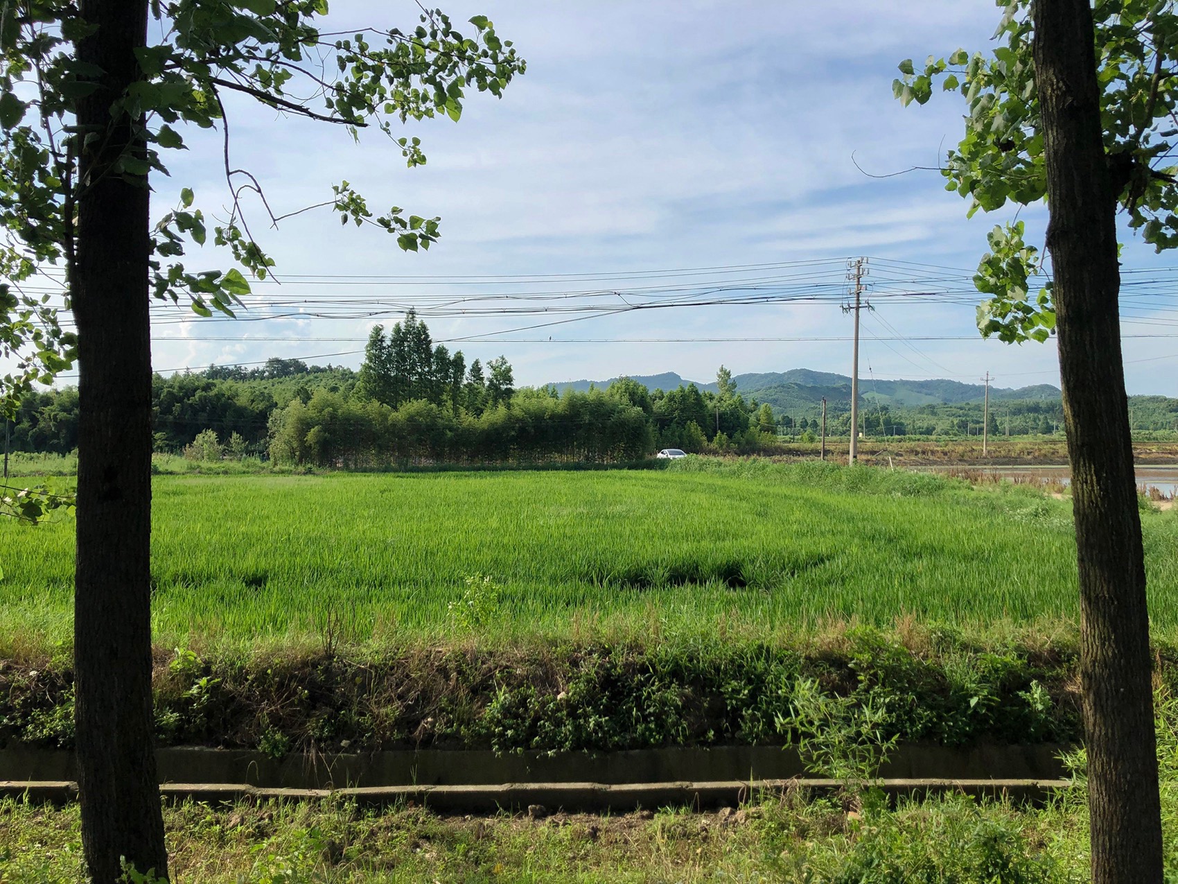 预览 8