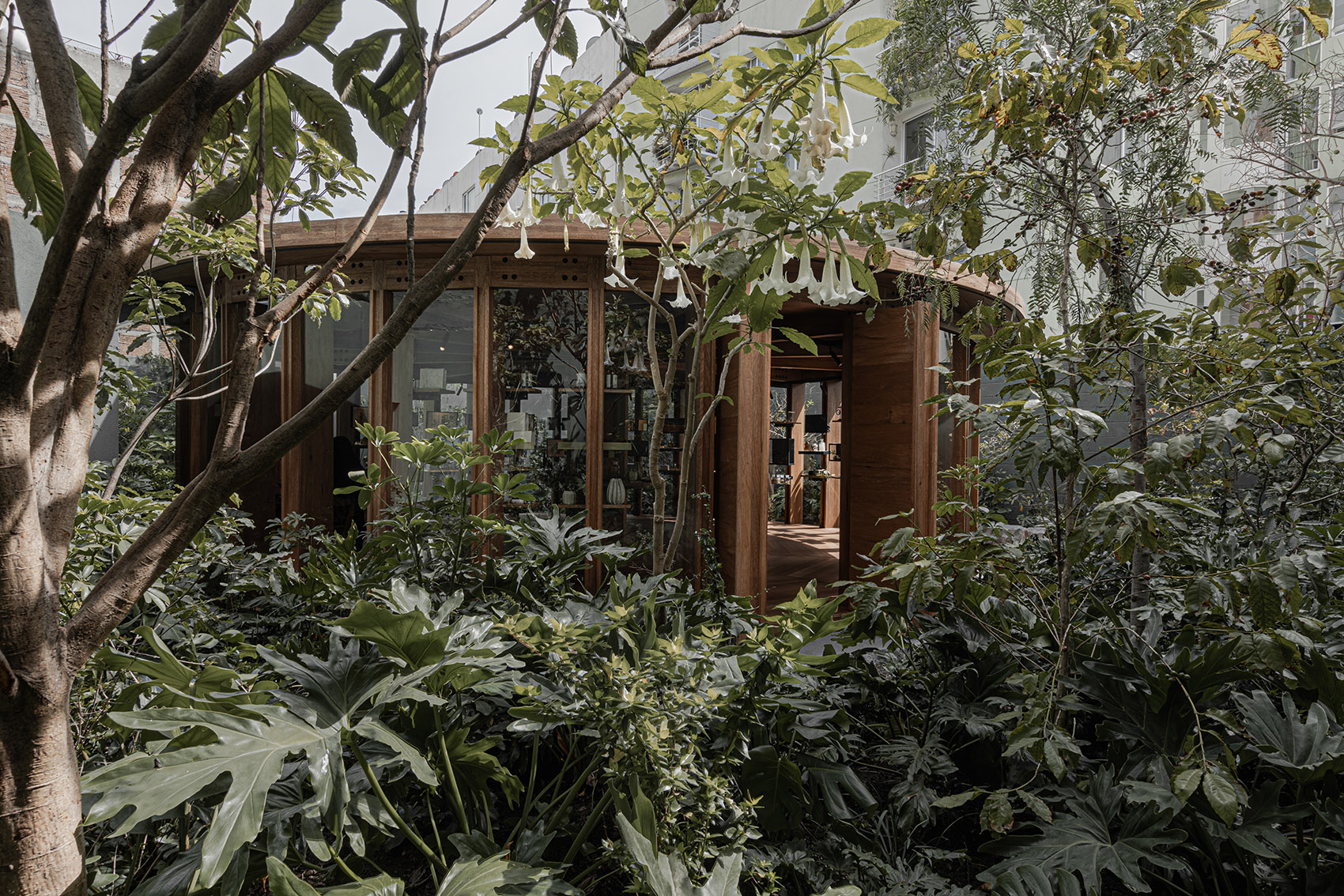 预览 6