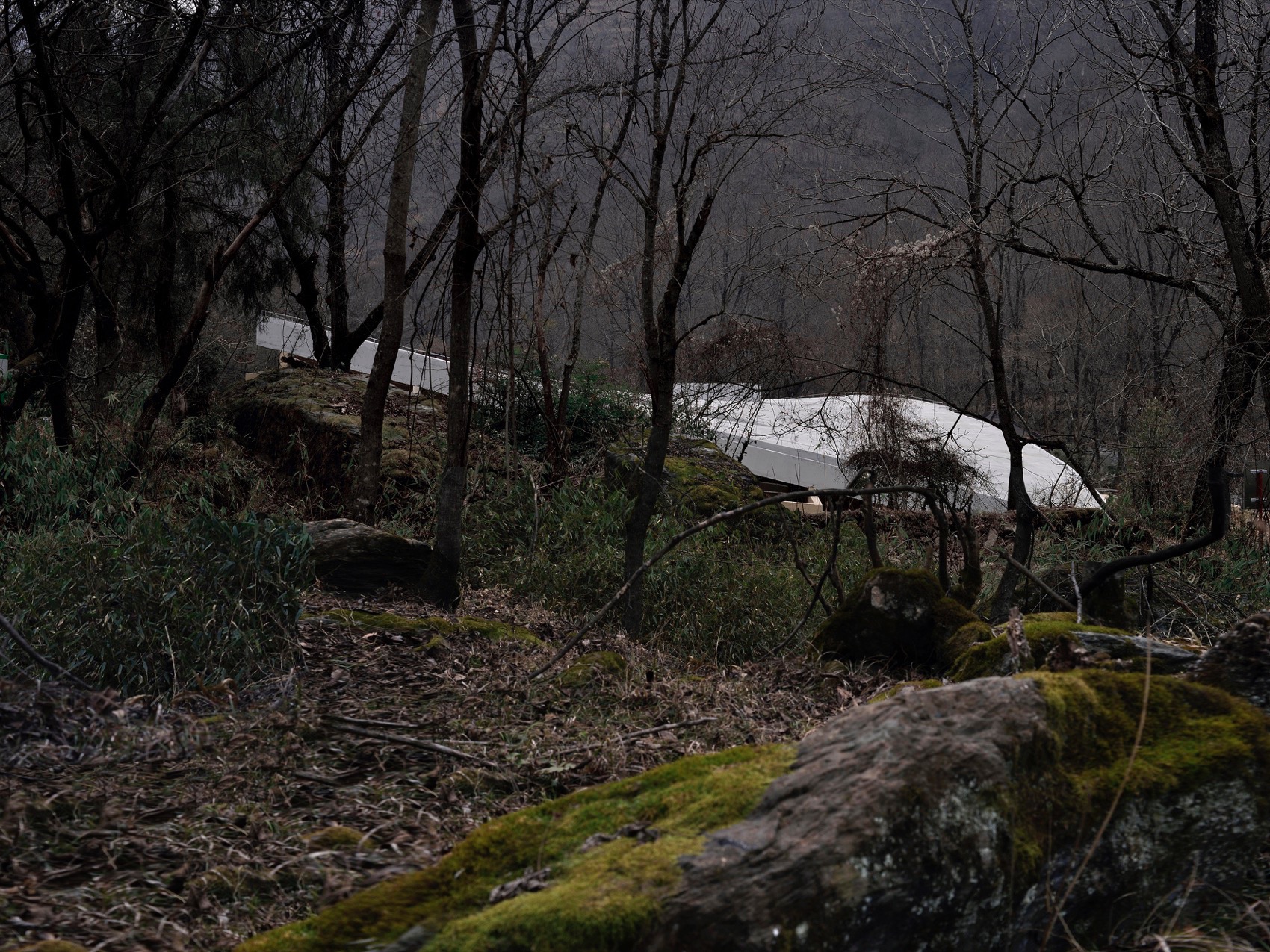 预览 8