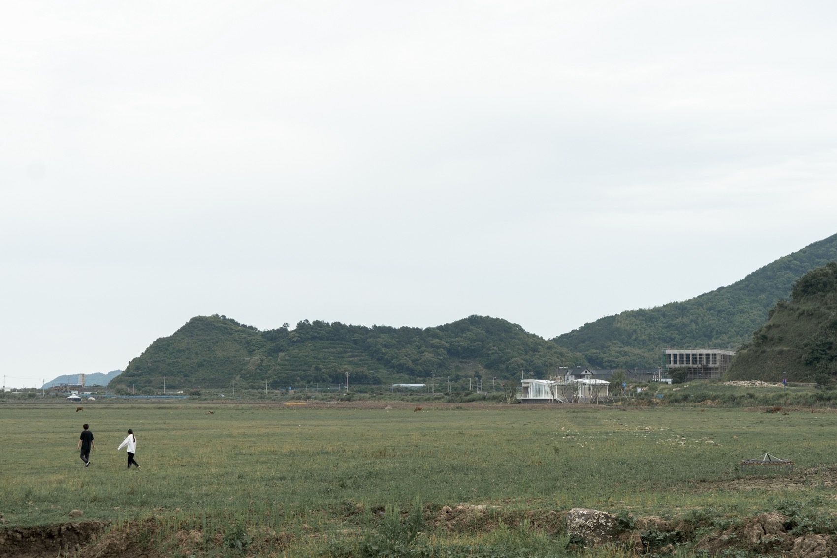 预览 8