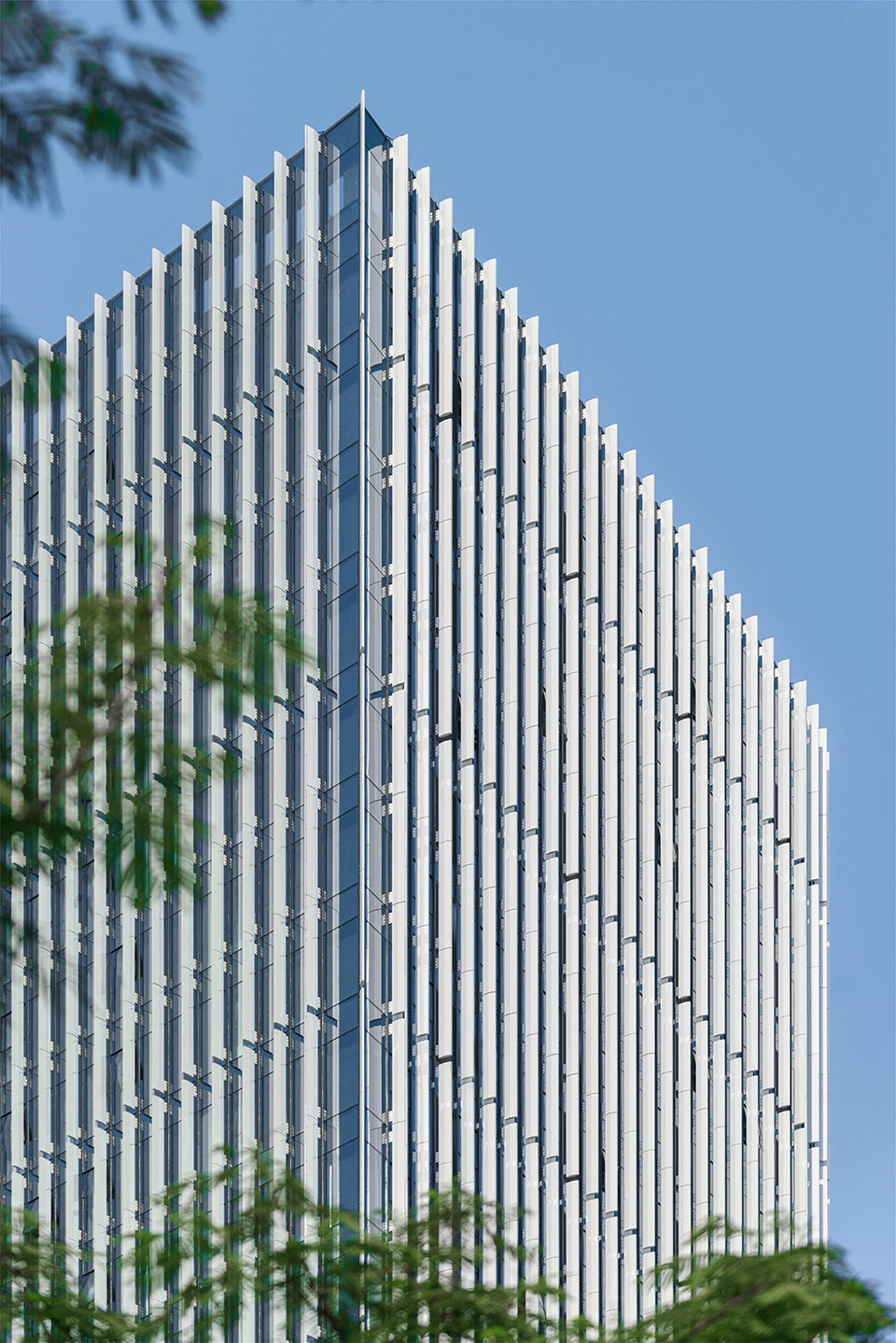 预览 6