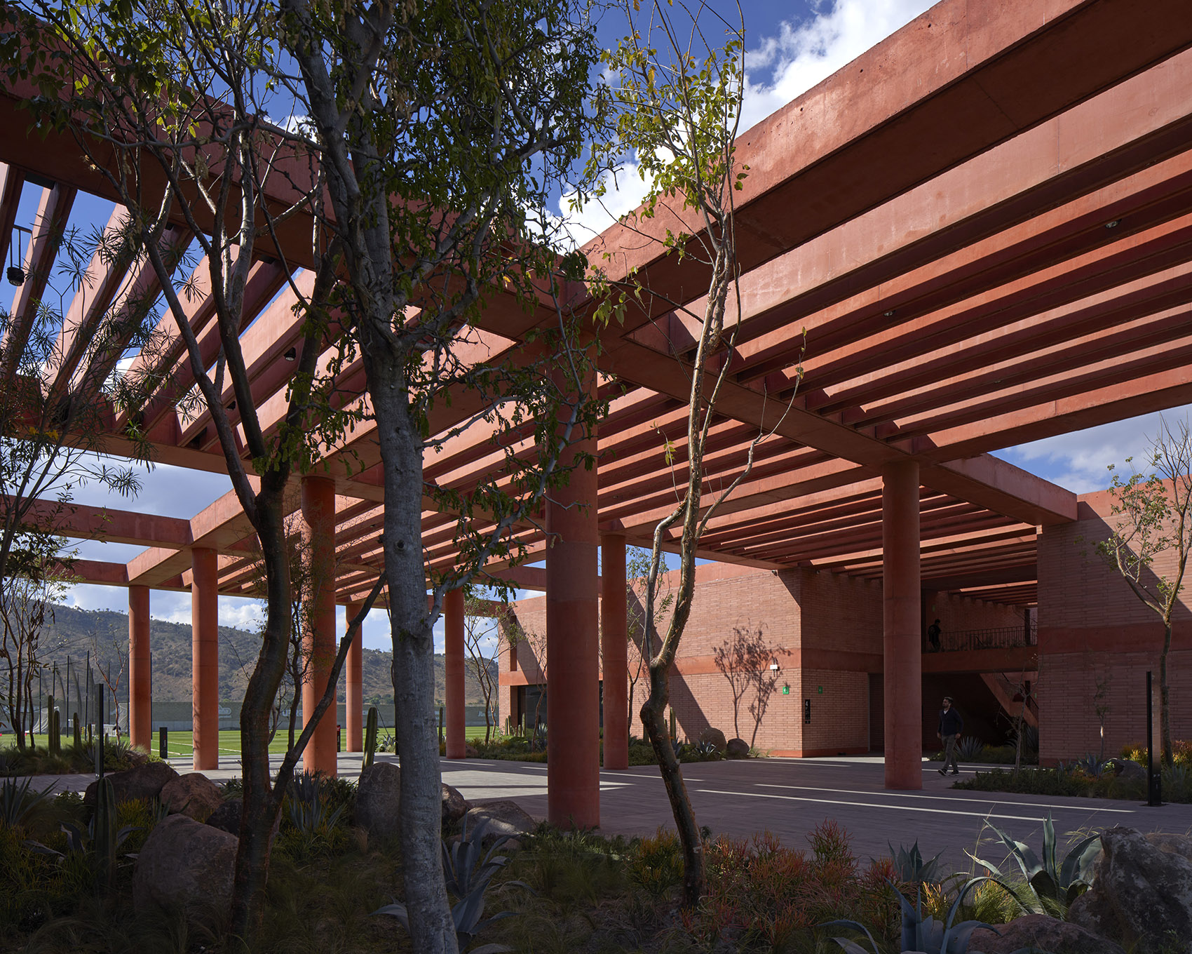 预览 7