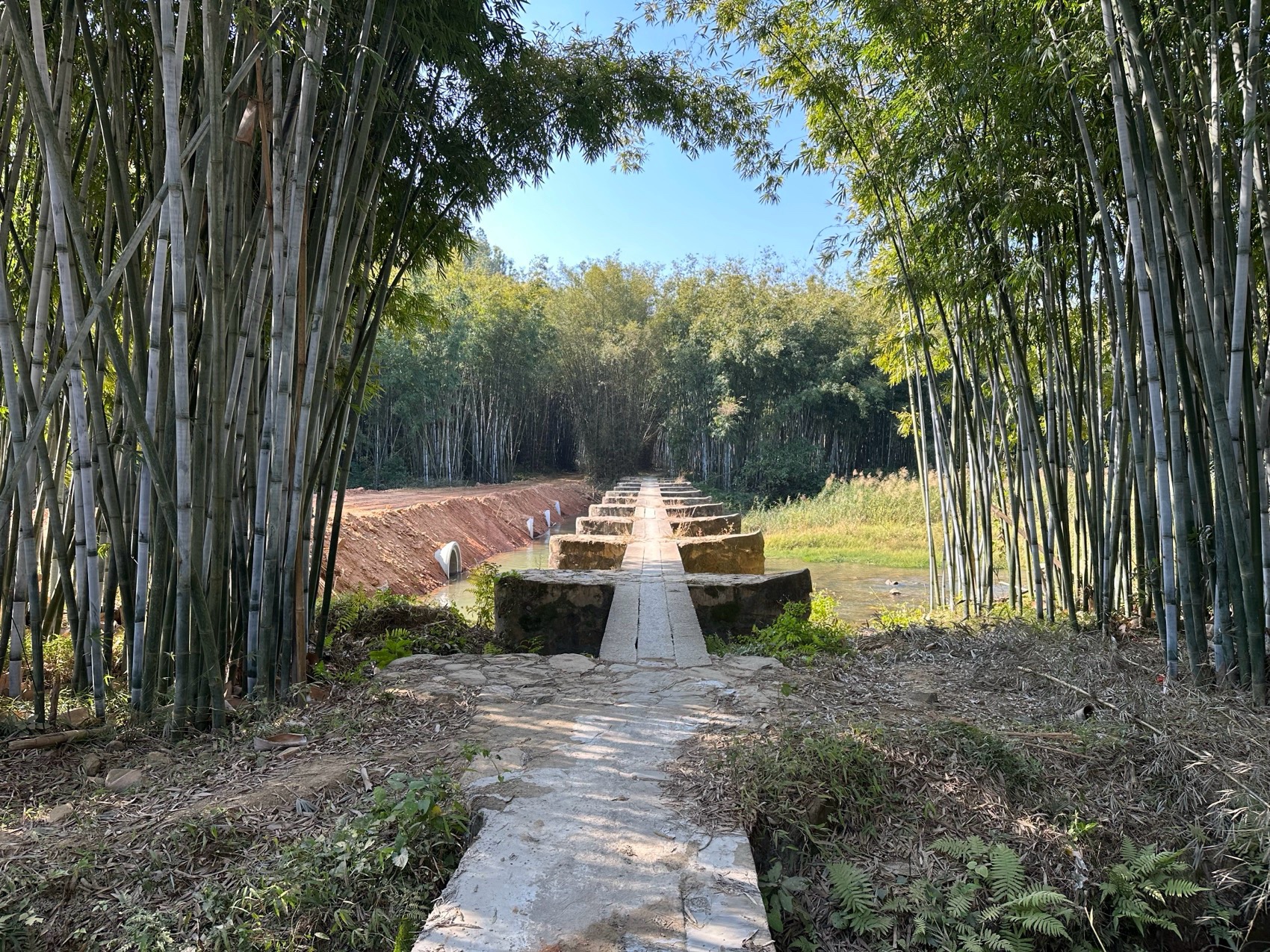 预览 9