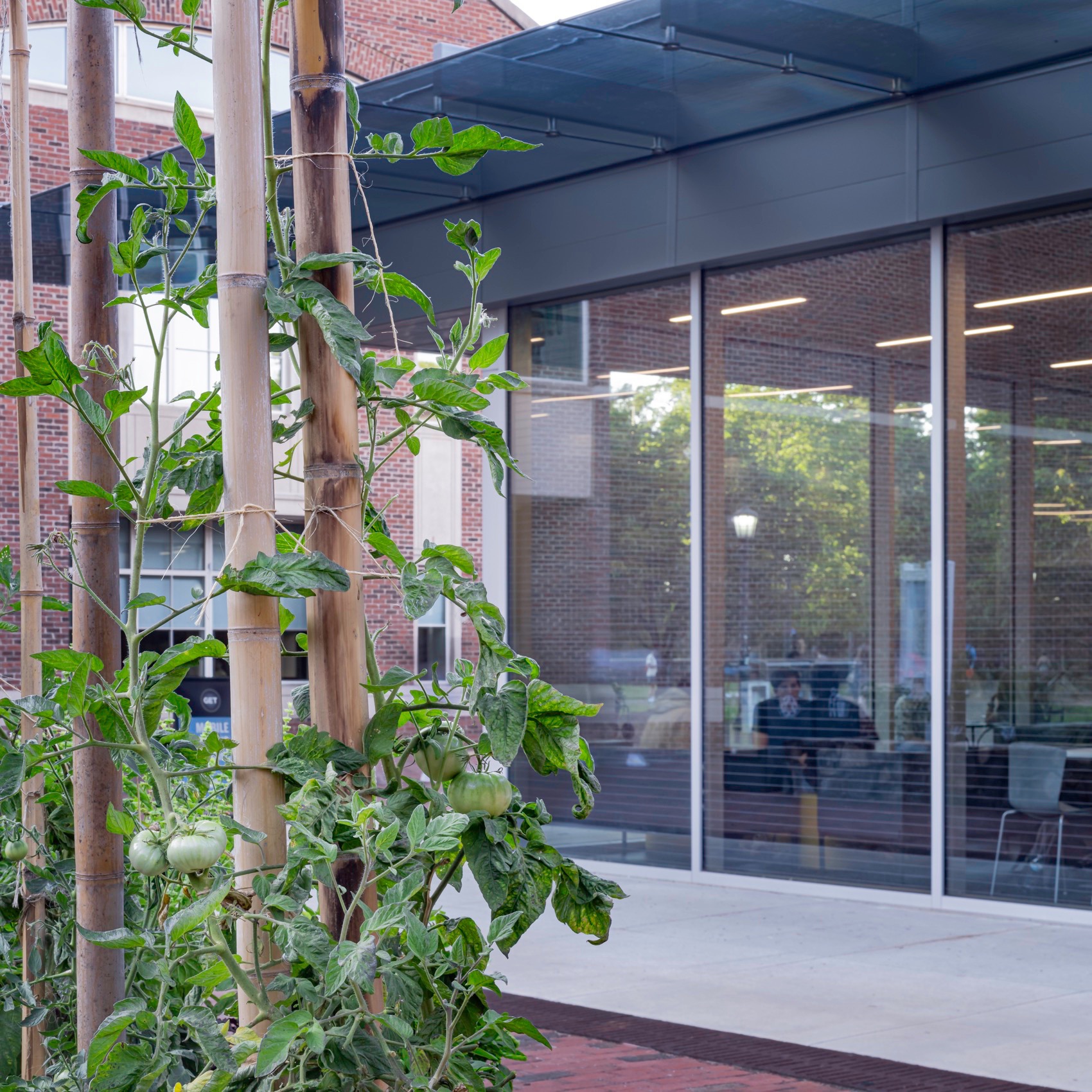 预览 8