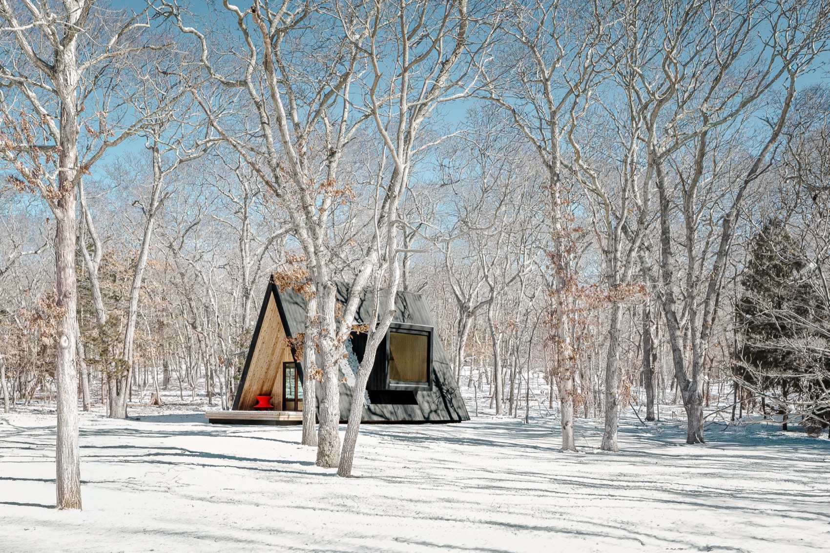 森林疗养小屋，美国 / BE_Design