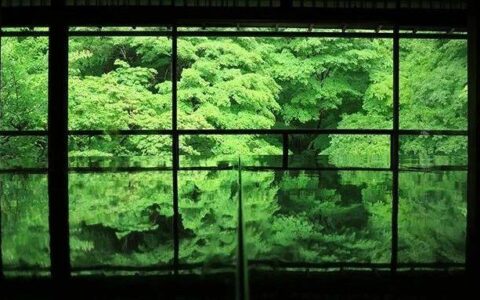 预览 10