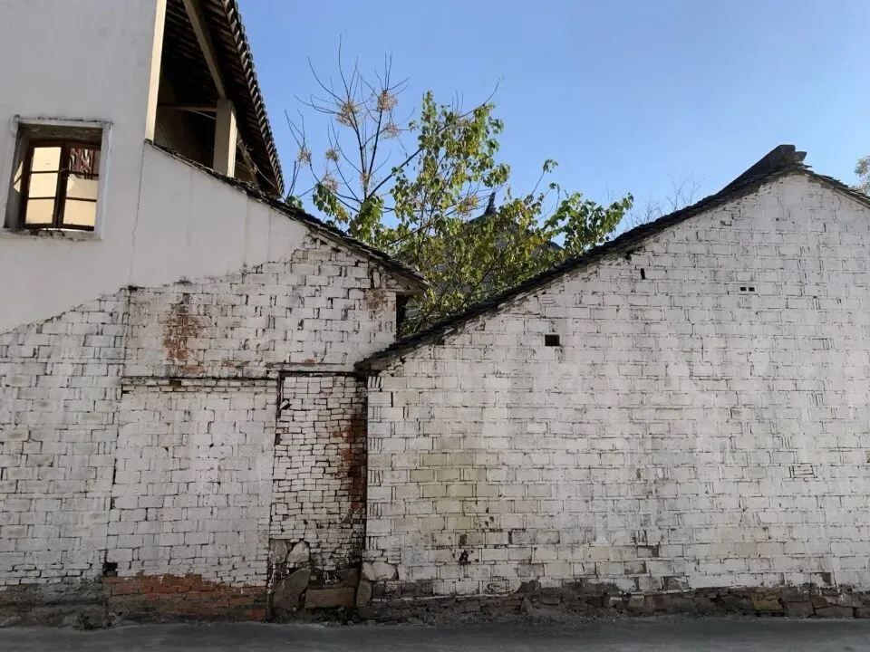 预览 10