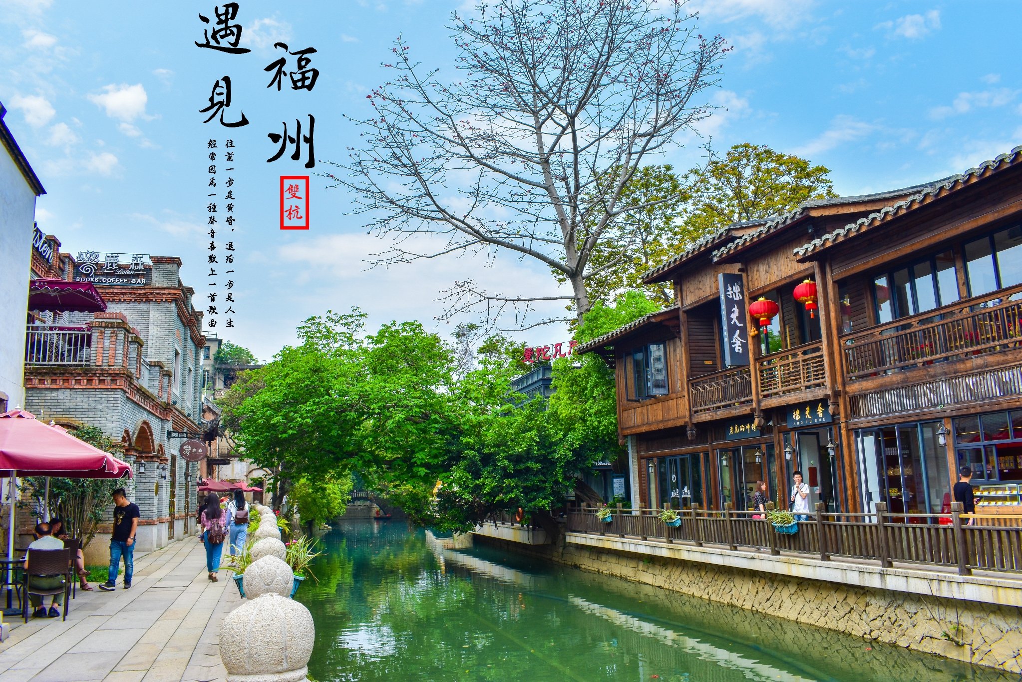 预览 5