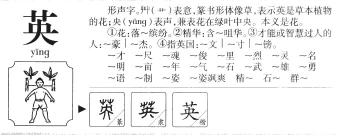 预览 3