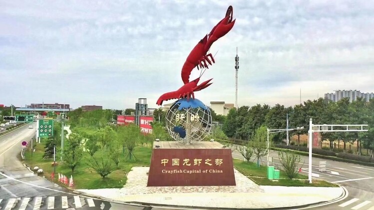 预览 5
