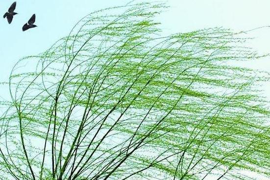 预览 5