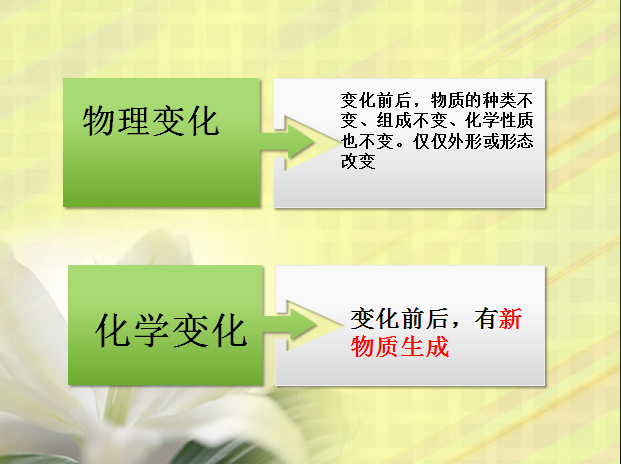 预览 4