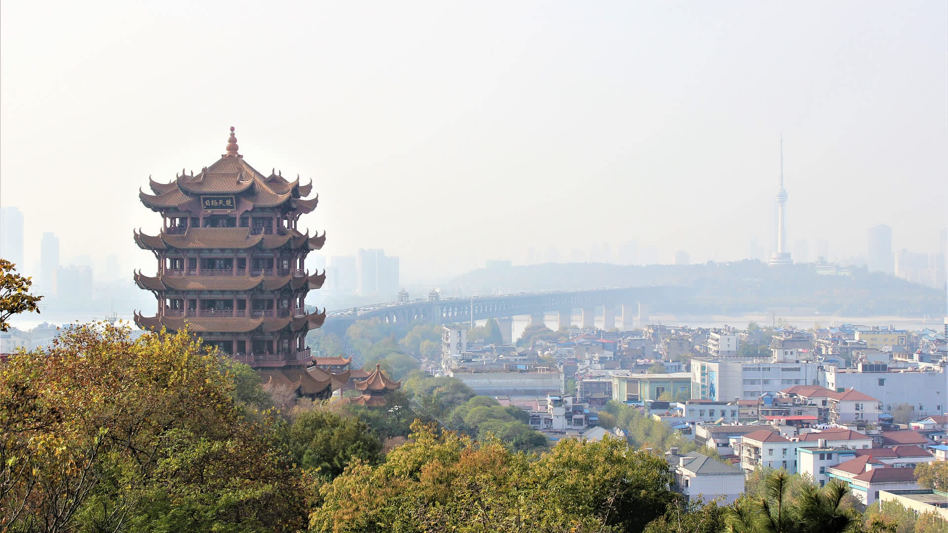 预览 5