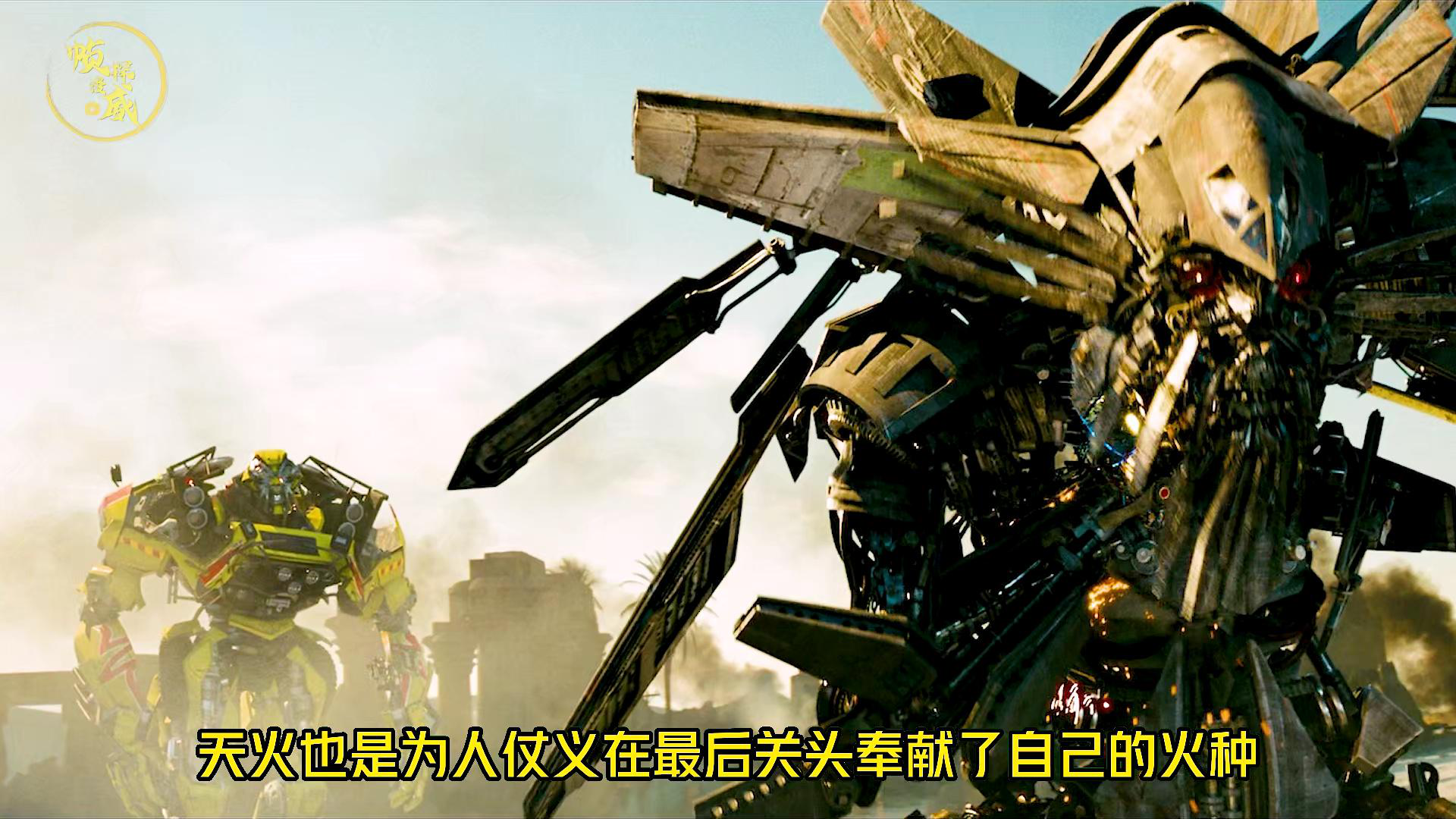 预览 4