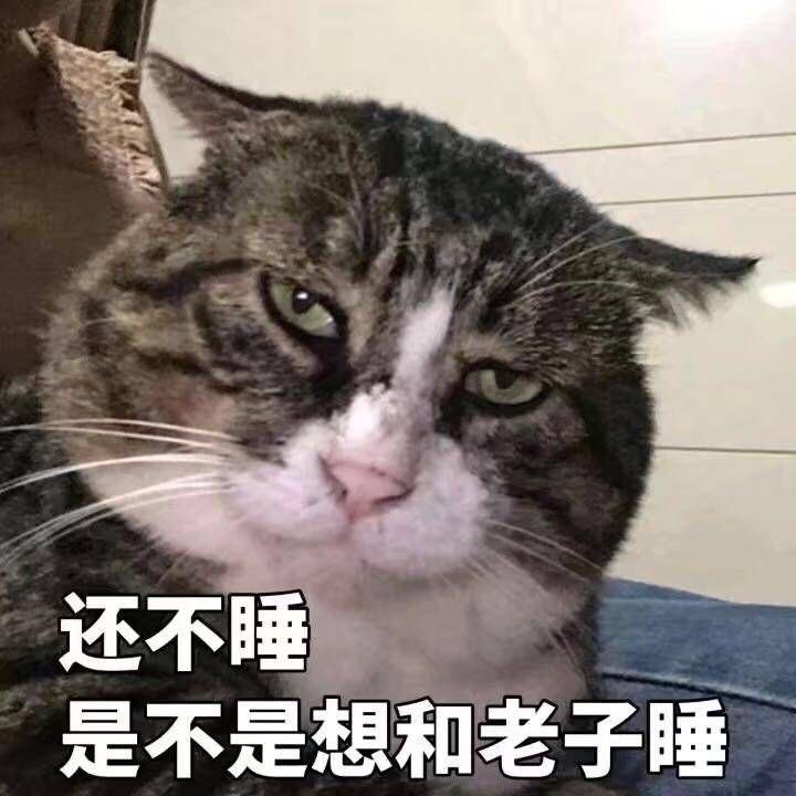 预览 3