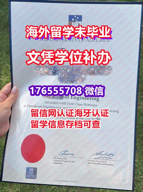 预览 3