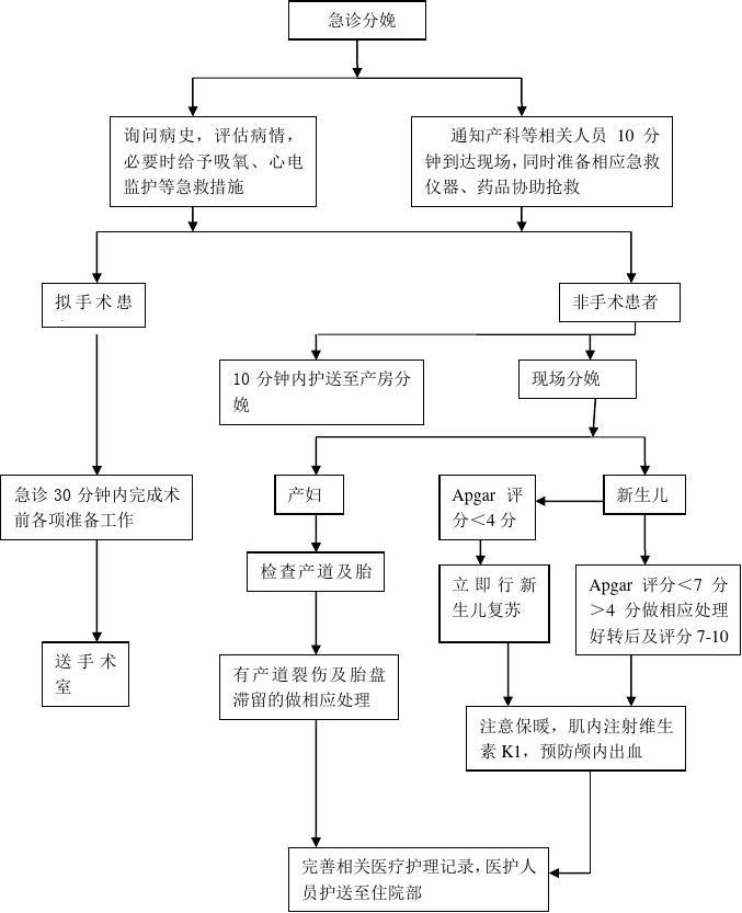 预览 3