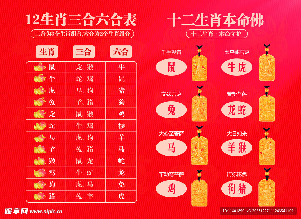 预览 4