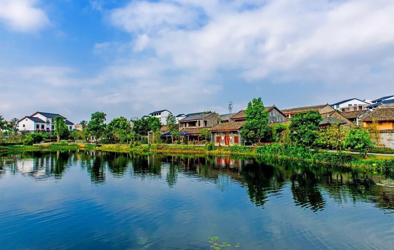 预览 4