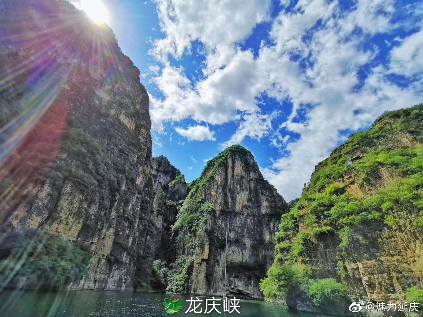 预览 5
