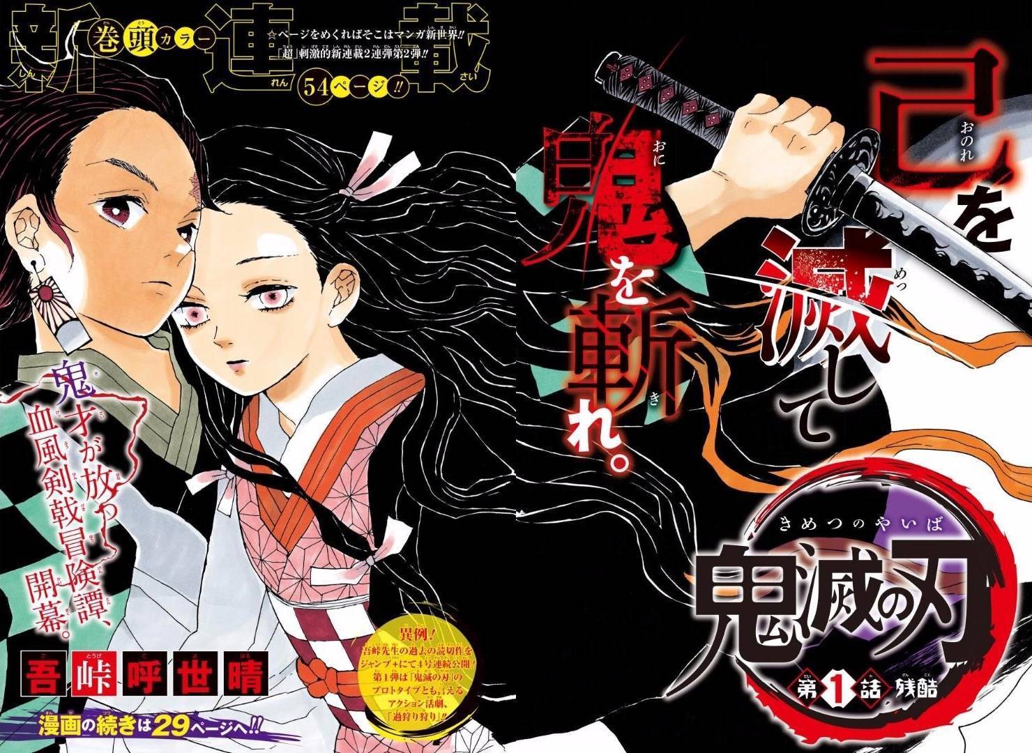 预览 4