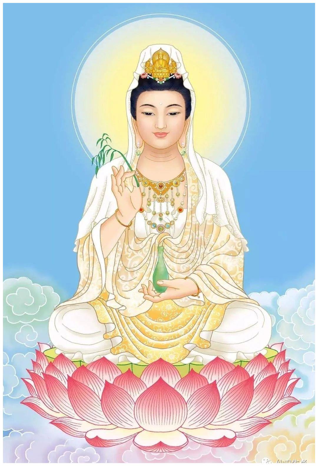 预览 3