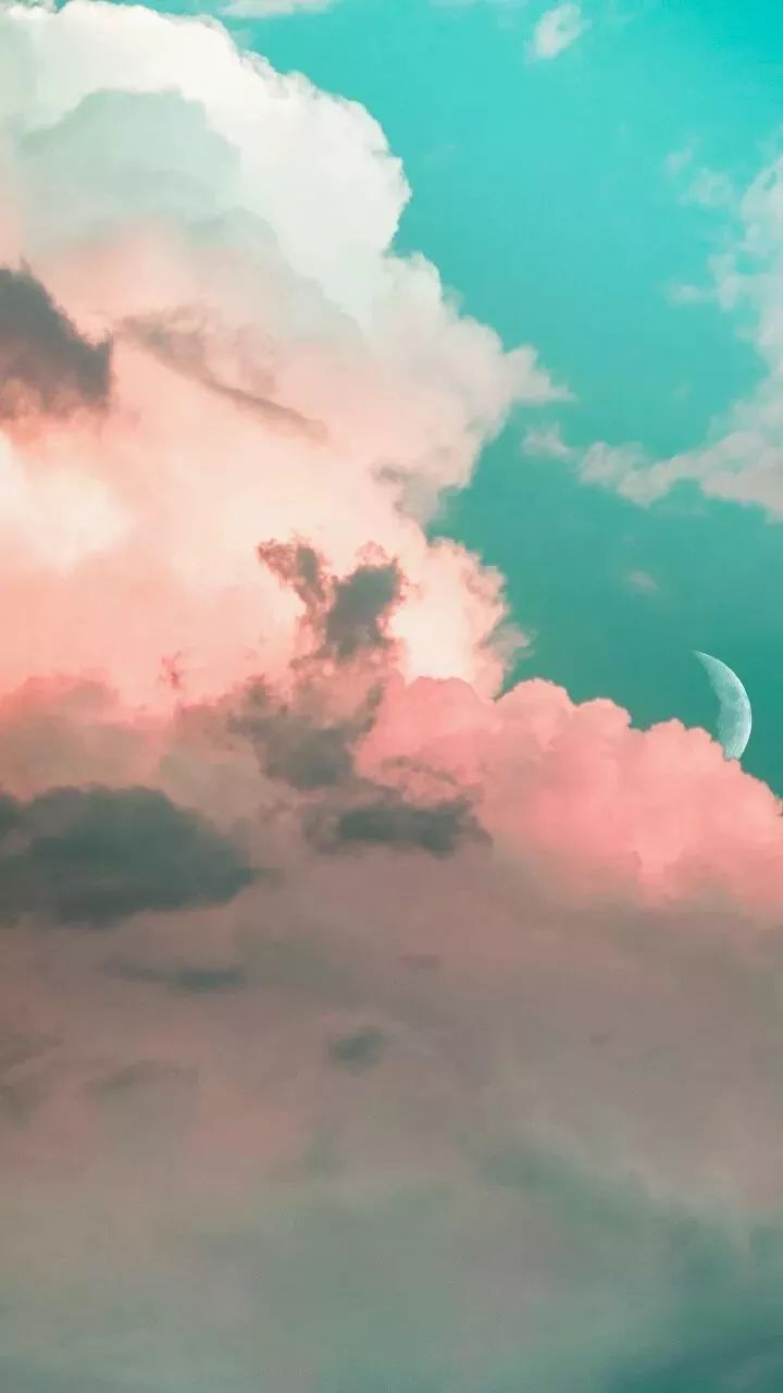 预览 3