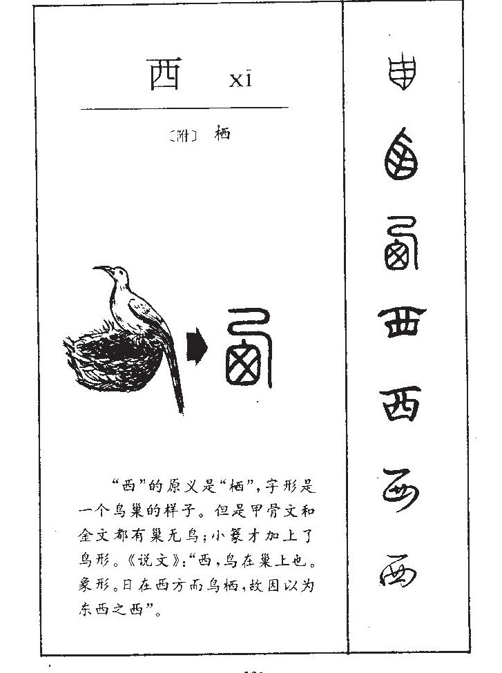 预览 4