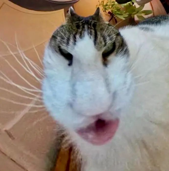 预览 5