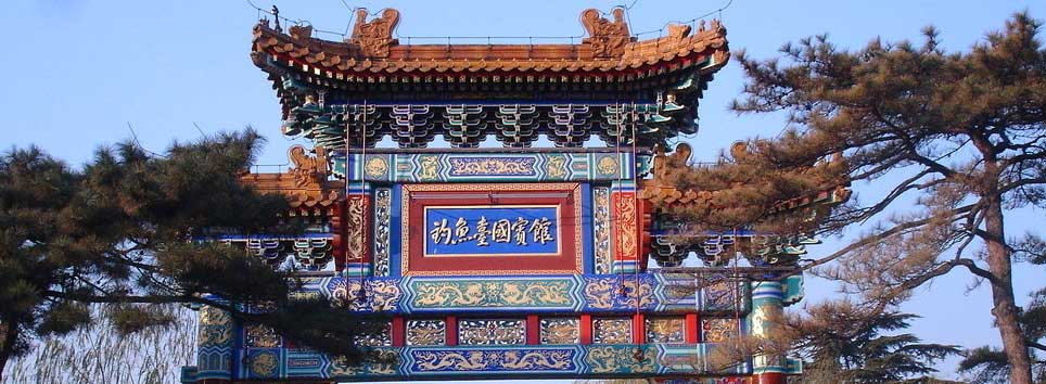 预览 3