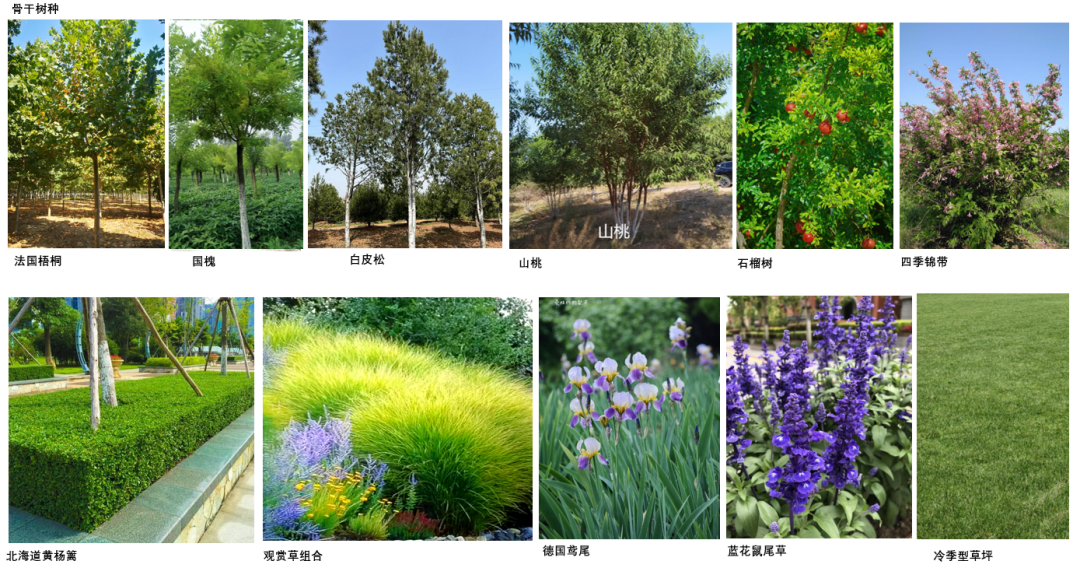 项目图片 11