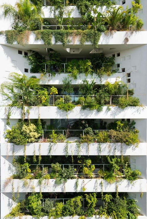 预览 6