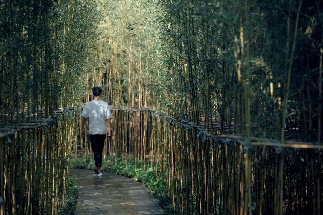 纪念馆东南角鸟瞰
