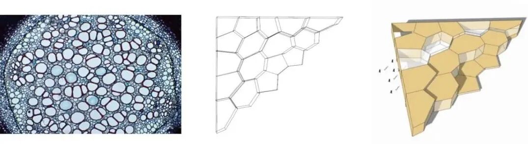 鸟瞰效果图