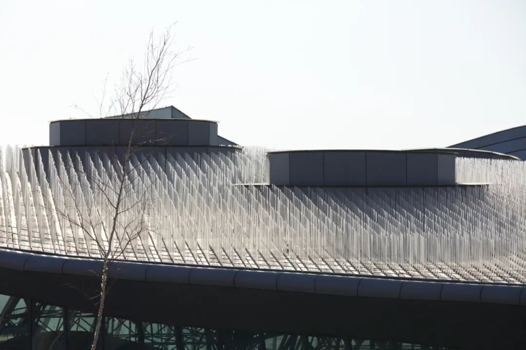 建筑主入口实景