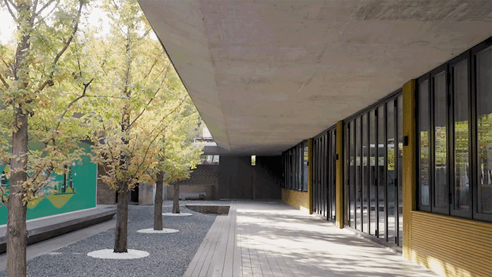 绿意盎然的中央庭院©清华大学