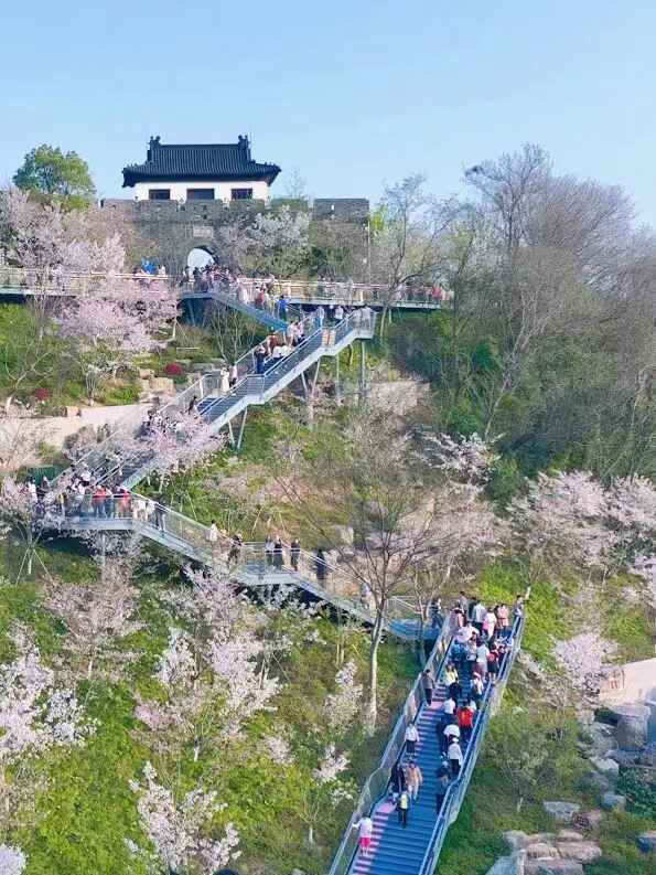 观音门公园及周边环境景观提升项目