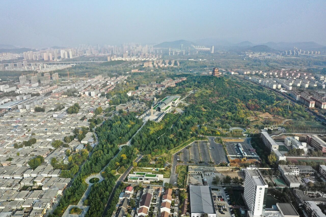 项目图片 3