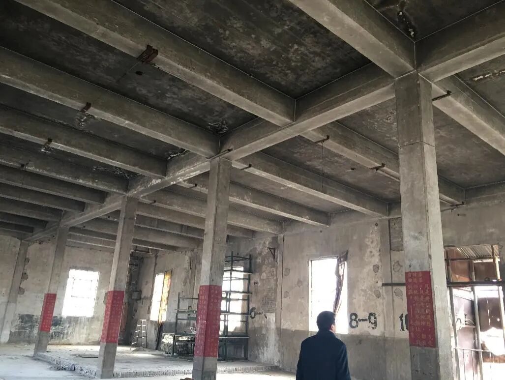 项目图片 9
